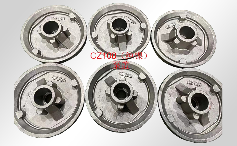 CZ100 pump cover