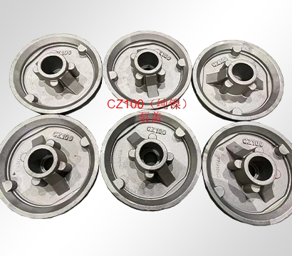 CZ100 pump cover