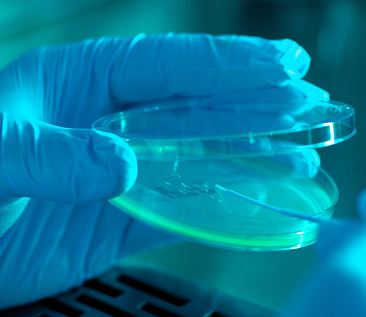 Biomedical